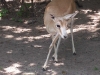100_5926.jpg